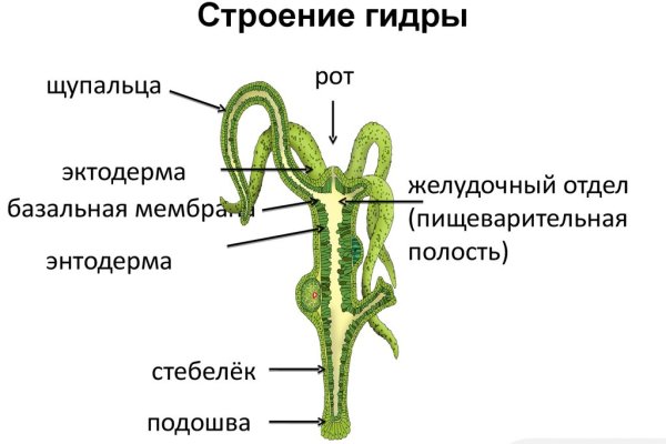 Кракен сайт ссылки актуальные