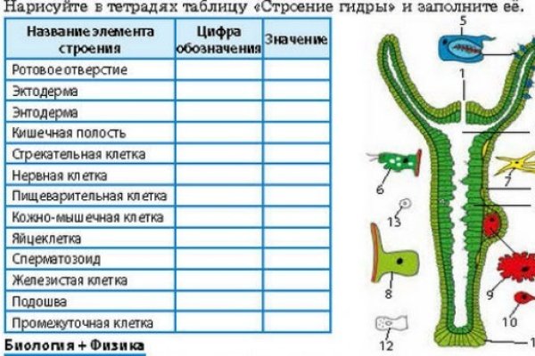 Кракен сайт работает