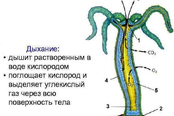 Магазин веществ кракен